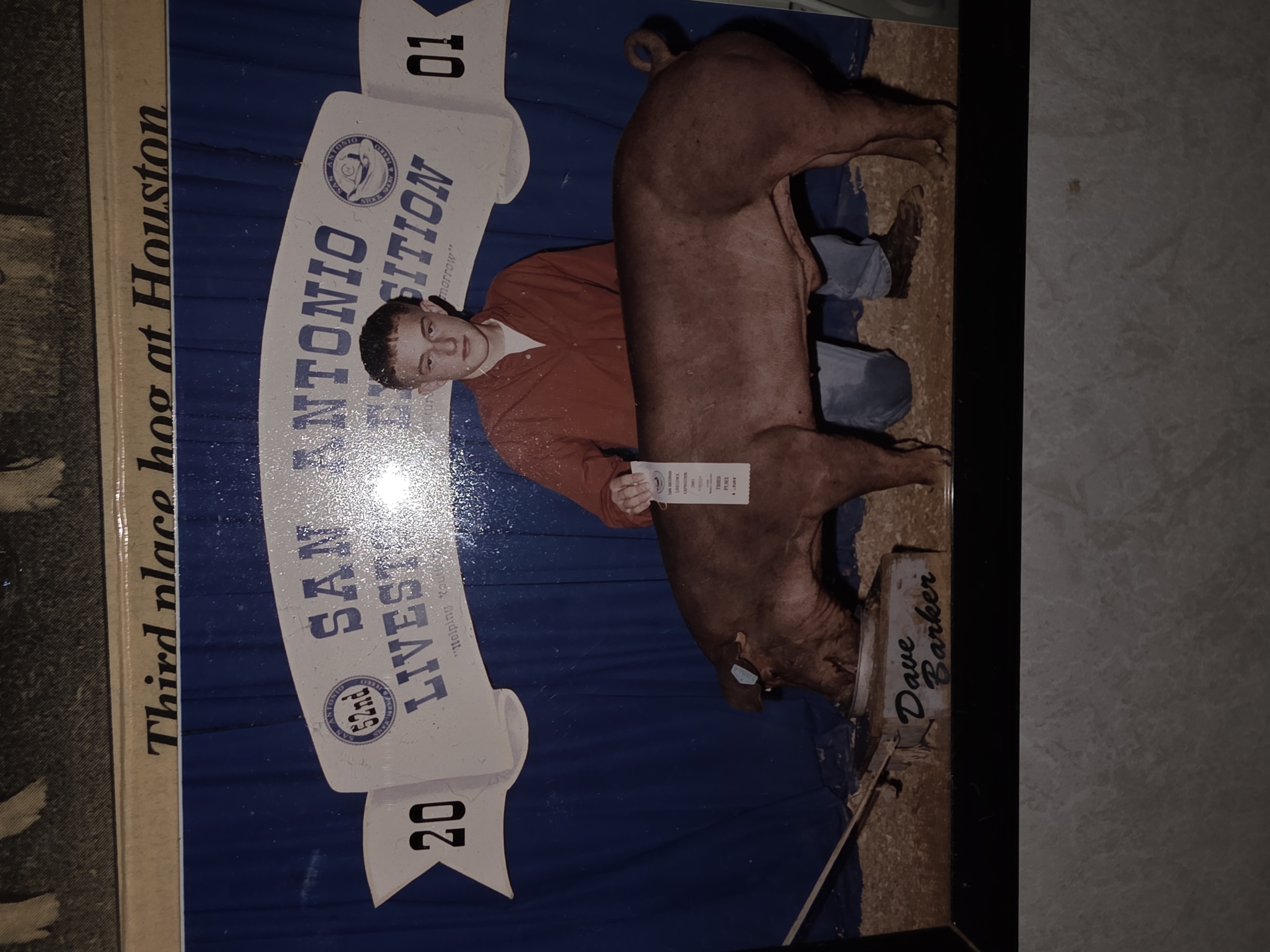 Adam Coston making the sale at the San Antonio Stock Show, 2001, with a pig out of Don Porter's original Duroc sows